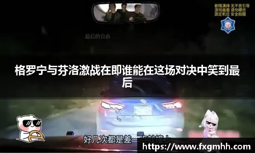 格罗宁与芬洛激战在即谁能在这场对决中笑到最后